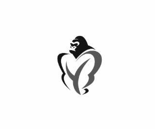 YB logo