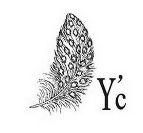 Y'C logo