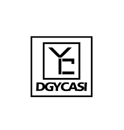 YC DGYCASI logo