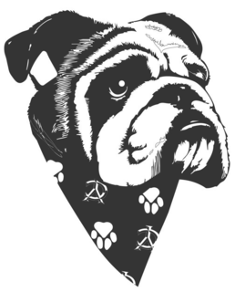 YC YC logo
