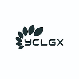 YCLGX logo
