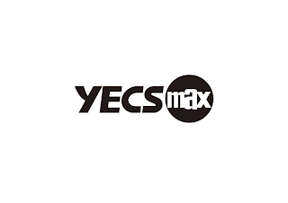 YECSMAX logo