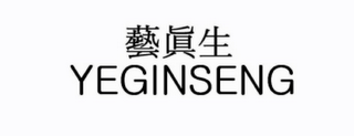 YEGINSENG logo
