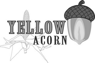 YELLOW ACORN logo