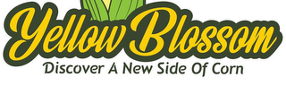 YELLOW BLOSSOM DISCOVER A NEW SIDE OF CORN logo