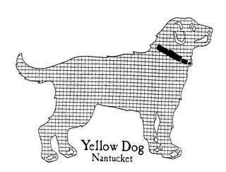 YELLOW DOG NANTUCKET logo