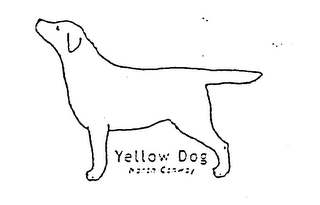 YELLOW DOG NORTH CONWAY logo
