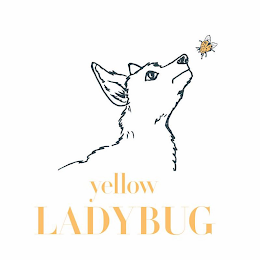 YELLOW LADY BUG logo