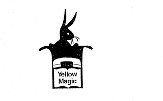 YELLOW MAGIC logo
