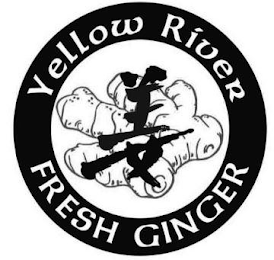 YELLOW RIVER FRESH GINGER logo