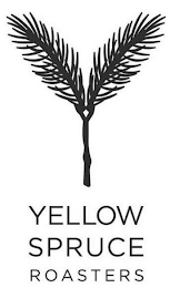 YELLOW SPRUCE ROASTERS logo