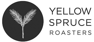 YELLOW SPRUCE ROASTERS logo