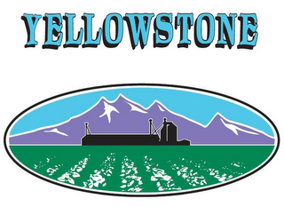 YELLOWSTONE logo