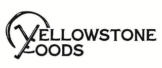 YELLOWSTONE FOODS logo