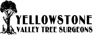 YELLOWSTONE VALLEY TREE SURGEONS