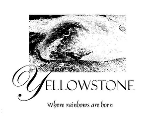 YELLOWSTONE WHERE RAINBOWS ARE BORN logo