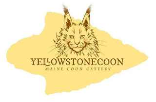YELLOWSTONECOON MAINE COON CATTERY logo