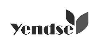 YENDSE logo