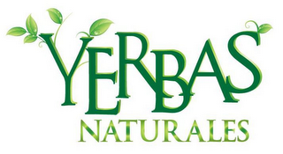 YERBAS NATURALES logo