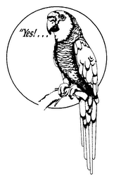 "YES!... logo