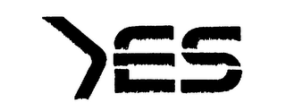 YES logo
