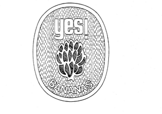 YES! BANANAS logo
