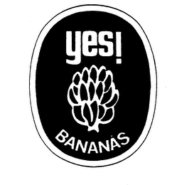 YES! BANANAS logo