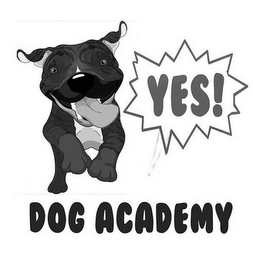 YES! DOG ACADEMY logo