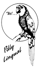 YES, POLLY LINGUAL logo