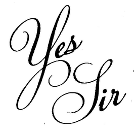 YES SIR logo