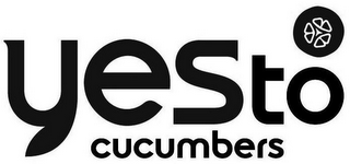 YES TO CUCUMBERS logo