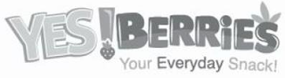 YES!BERRIES YOUR EVERYDAY SNACK! logo