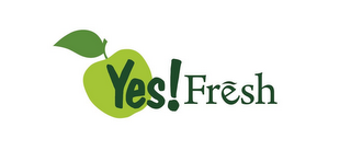 YES!FRESH logo