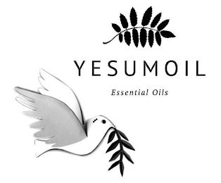 YESUMOIL ESSENTIAL OILS logo