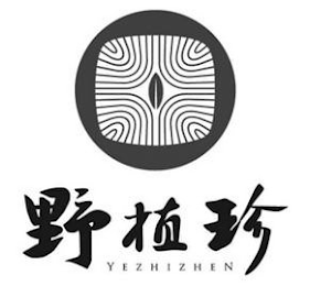 YEZHIZHEN logo