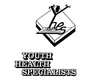 YHES YOUTH HEALTH SPECIALISTS logo