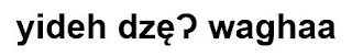 YIDEH DZȨ P WAGHAA logo