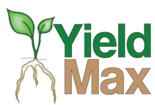 YIELD MAX logo