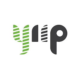 YIIP logo
