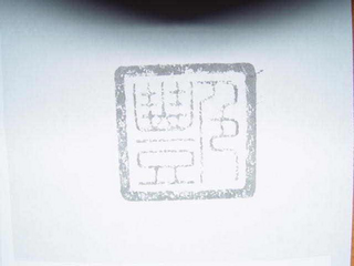 YIM...BEYOND BEAUTY logo