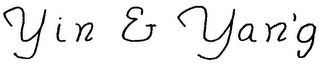 YIN & YAN'G logo