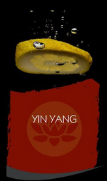 YIN YANG logo