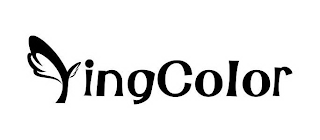 YINGCOLOR logo