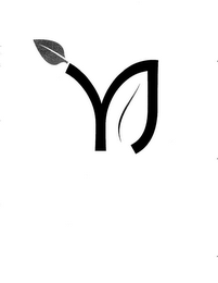 YJ logo