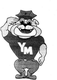 YM logo