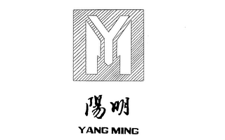 YM YANG MING logo