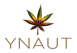 YNAUT logo