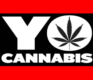 YO CANNABIS logo