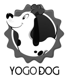YOGO DOG logo