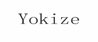 YOKIZE logo